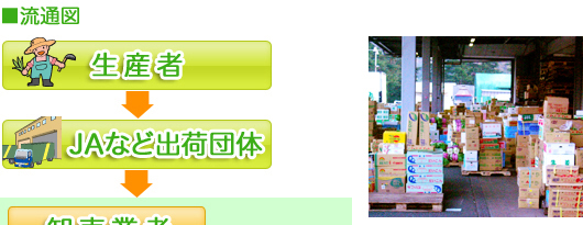 卸売市場へ。荷受業者から仲卸(丸果)
