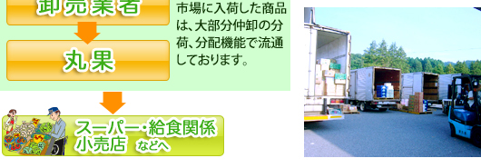 小売店と飲食店とスーパーへ渡り、消費者の食卓に列びます。